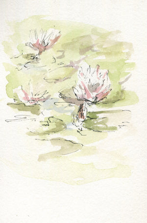 Italy 2024 Card Bundle image 0