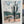 Painting of a cactus in a desert landscape. Abstract.
